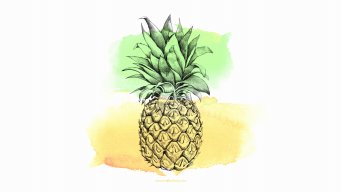 Essa Pineapple