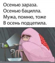 Жопка Новогодняя