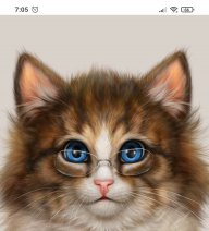 СтеллаВиктория